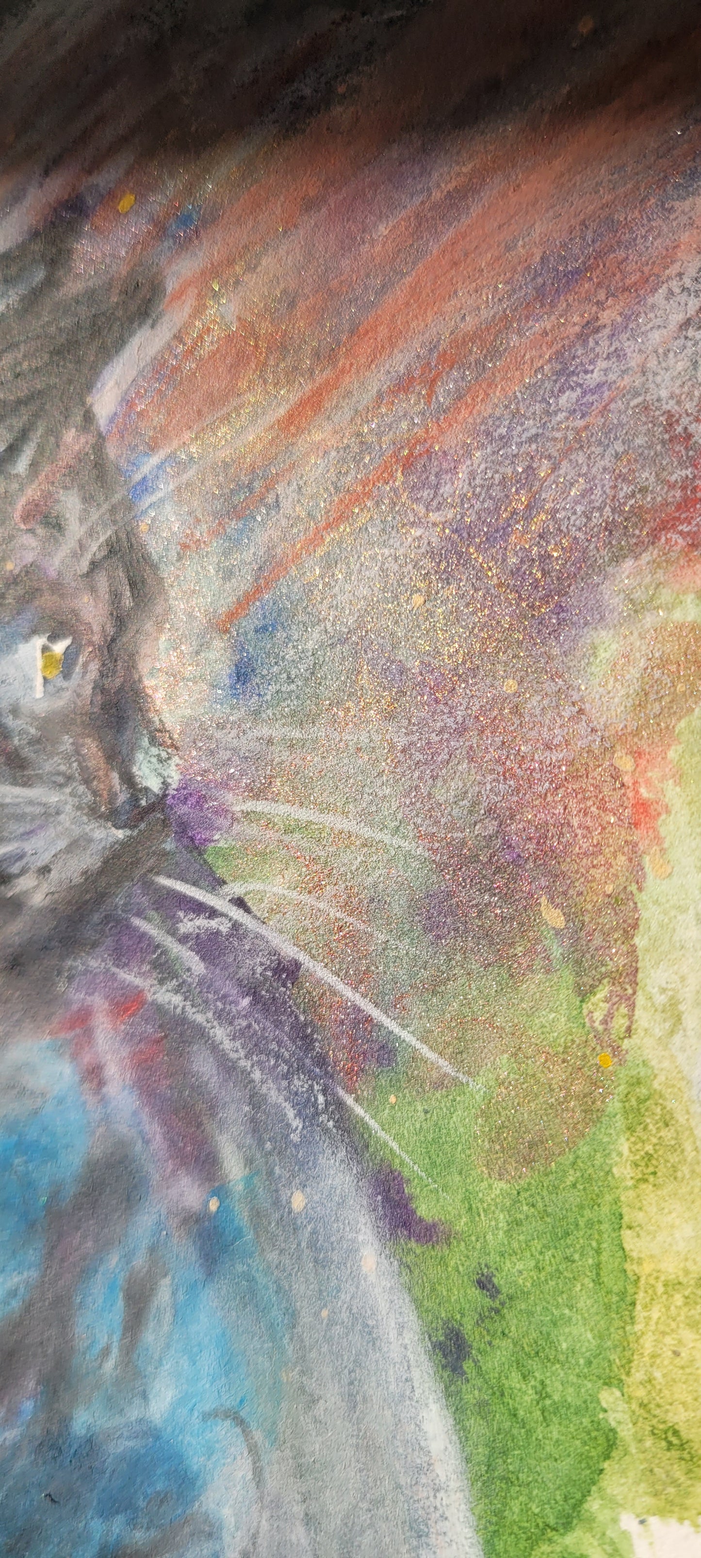 The grey cat