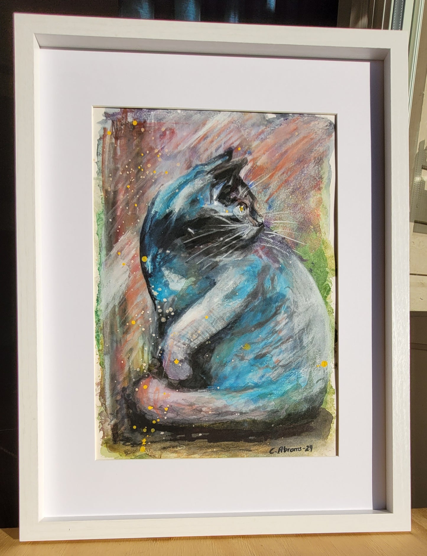 The grey cat