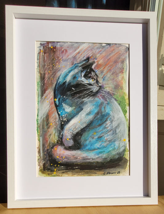 The grey cat